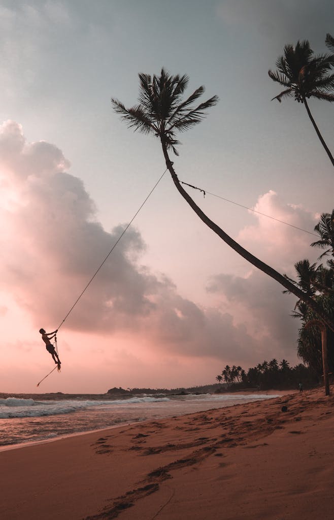 A person swinging from a palm tree at sunset on a serene Sri Lankan beach.