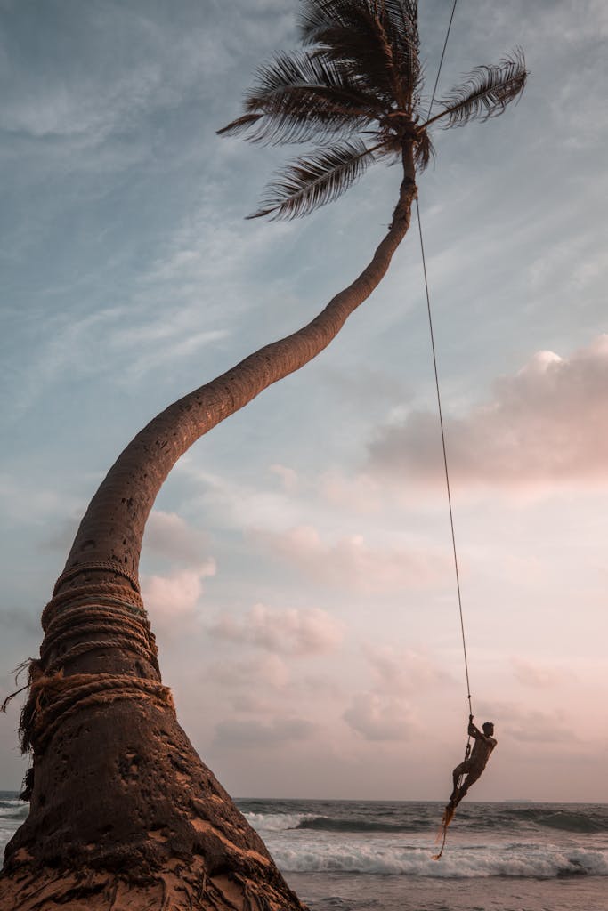 An adventurous swing from a coconut tree over the ocean creates a breathtaking tropical scene in Sri Lanka.